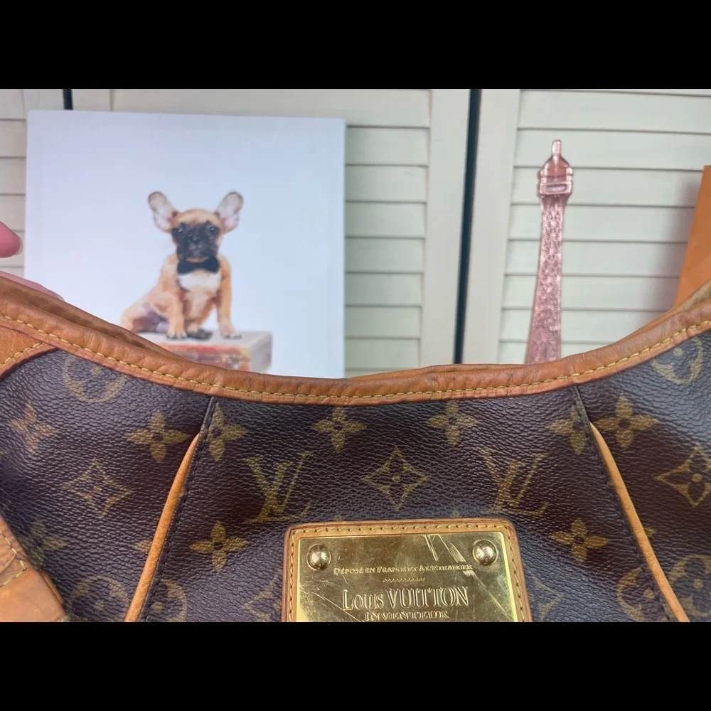 Louis Vuitton Galleria - Picture 5 of 16